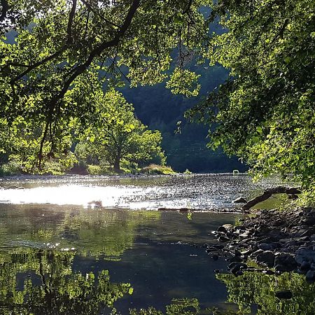 Gite Les Roseaux De Baillamont Exteriör bild